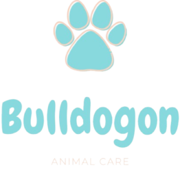BulldogOn | Dogs, Bulldogs & Pet Lifestyle